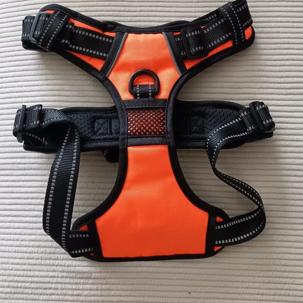 Orange and Black Cat Harness